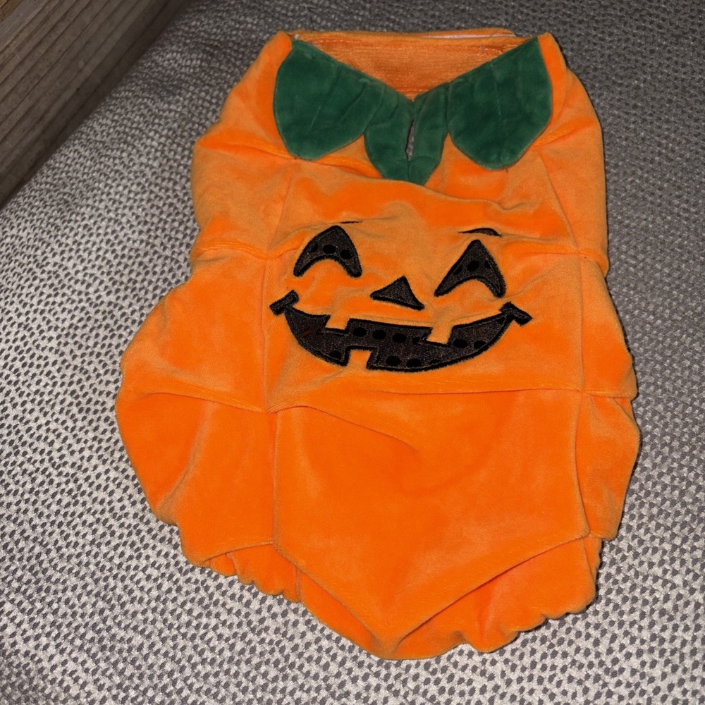 Pet Dog Pumpkin Face Halloween Costume Orange Size Small